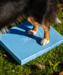 Foam Target YogoDoggo 21 Foam Target YogoDoggo