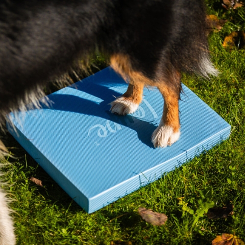 Foam Target YogoDoggo 7 Foam Target YogoDoggo