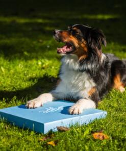 Foam Target YogoDoggo 23 Foam Target YogoDoggo