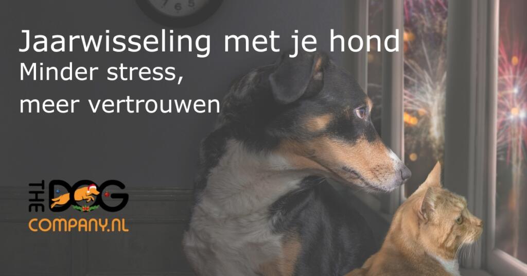 Jaarwisseling met je hond - Blog Header
