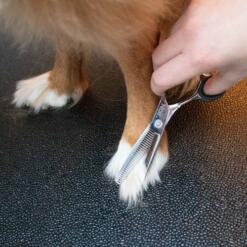 Japandi Enkelzijdige Effileerschaar