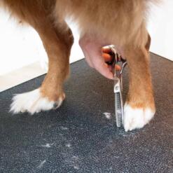 Japandi Enkelzijdige Effileerschaar