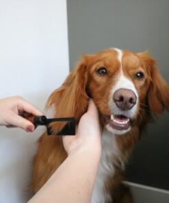 Japandi Ontwarkam 13 Japandi Ontwarkam