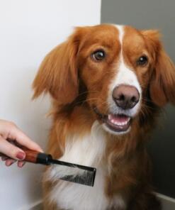 Japandi Ontwarkam 12 Japandi Ontwarkam