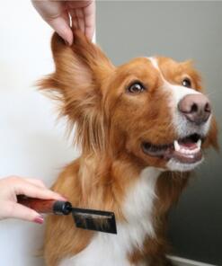 Japandi Ontwarkam 14 Japandi Ontwarkam