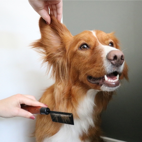 Japandi Ontwarkam 6 Japandi Ontwarkam