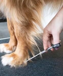 Japandi Verzorgingsschaar