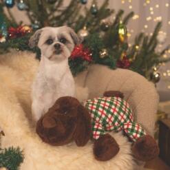 Kerstknuffel XL Arrow