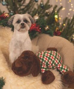 Kerstknuffel XL Arrow