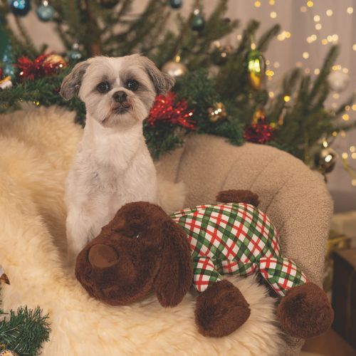 Kerstknuffel XL Arrow 4 Kerstknuffel XL Arrow