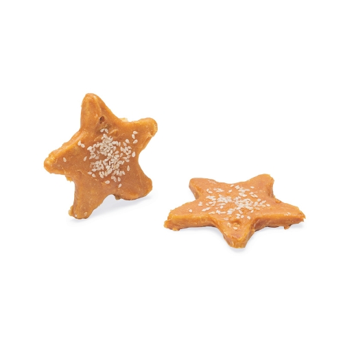 Kerstster 5 Kerstster