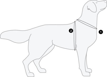 Life Savior Eco Zwemvest 13 Life Savior Eco Zwemvest - Opmeten hond