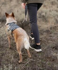 Safeguard Tuig Eco Veiligheidstuig 8 Safeguard Tuig Eco Veiligheidstuig