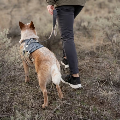 Safeguard Tuig Eco Veiligheidstuig 4 Safeguard Tuig Eco Veiligheidstuig