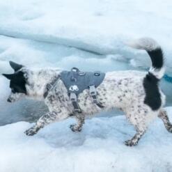 Safeguard Tuig Eco Veiligheidstuig 10 Safeguard Tuig Eco Veiligheidstuig