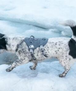 Safeguard Tuig Eco Veiligheidstuig 10 Safeguard Tuig Eco Veiligheidstuig