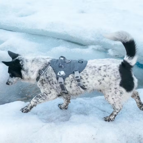 Safeguard Tuig Eco Veiligheidstuig 6 Safeguard Tuig Eco Veiligheidstuig