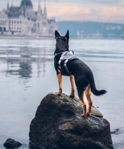 Safeguard Tuig Eco Veiligheidstuig 9 Safeguard Tuig Eco Veiligheidstuig