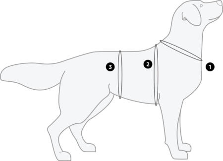 Safeguard Tuig Eco Veiligheidstuig 11 Safeguard Tuig Eco Veiligheidstuig - Opmeten van de hond