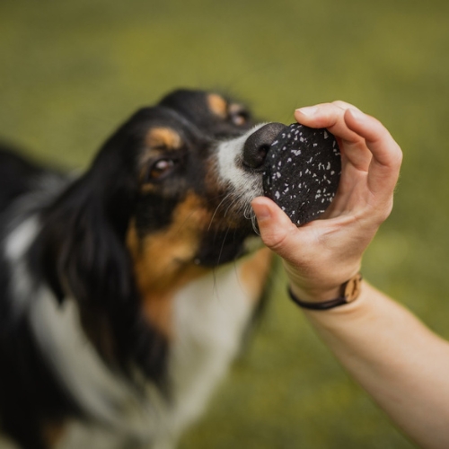 Target Mini Pivot 3 Target Mini Pivot