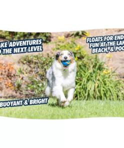 Chuckit! Ultra Squeaker Ball 12 Chuckit! Ultra Squeaker Ball