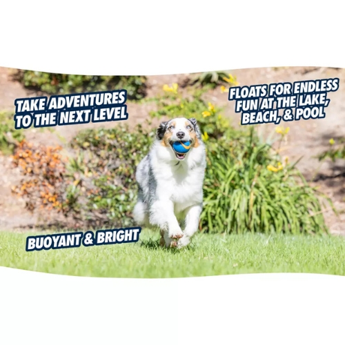 Chuckit! Ultra Squeaker Ball 7 Chuckit! Ultra Squeaker Ball