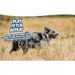 Chuckit! Ultra Squeaker Ball