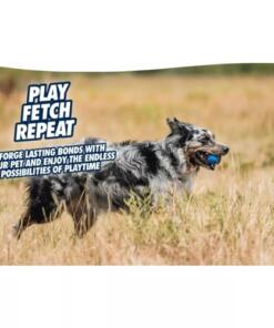 Chuckit! Ultra Squeaker Ball 13 Chuckit! Ultra Squeaker Ball