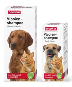 Vlooienshampoo