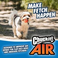 Air Fetch Ball