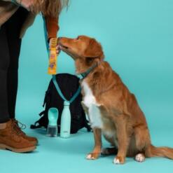 Bars - Edgard & Cooper