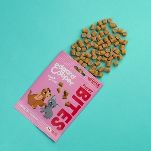 E&C Bites - Trainers 5 Bites Edgard & Cooper