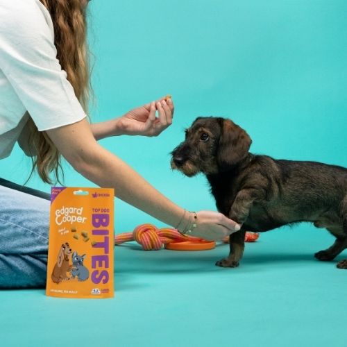 E&C Bites - Trainers 10 Bites Edgard & Cooper