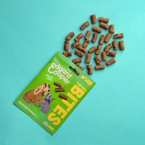 E&C Bites - Trainers 6 Bites Edgard & Cooper