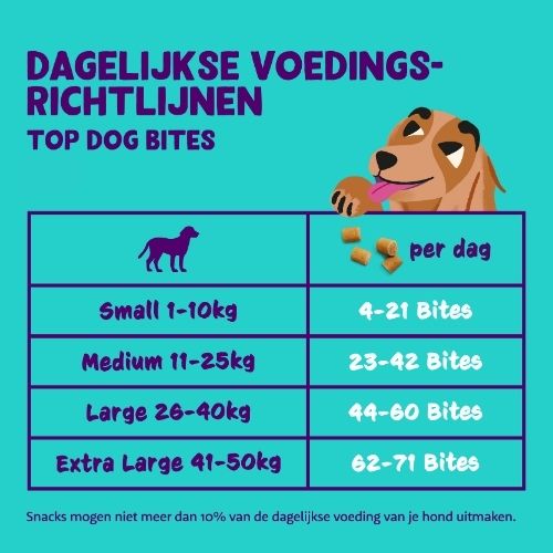 E&C Bites - Trainers 18 Bites Edgard & Cooper