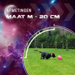 Dog Comets Pan-Stars Maat M