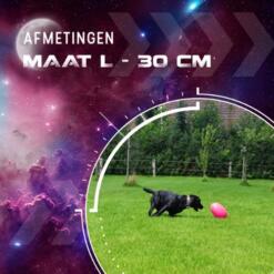 Dog Comets Pan-Stars Maat L
