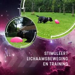 Dog Comets Pan-Stars