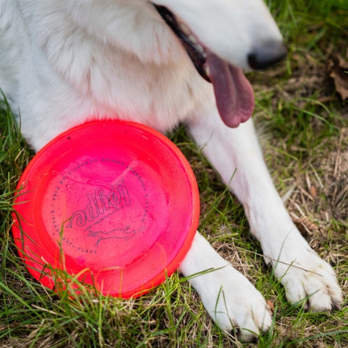 Flying Disc Jawz - Frisbee 4 Flying Disc Jawz - Frisbee