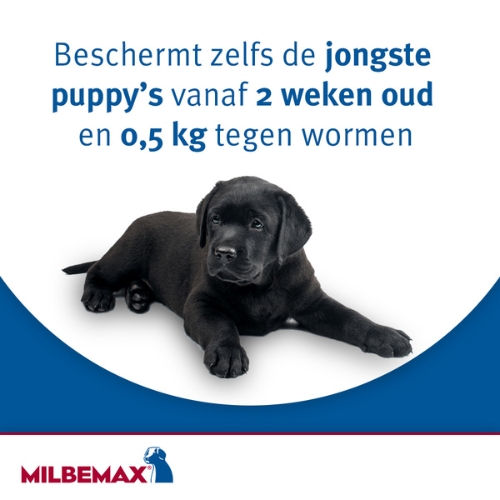 Milbemax Kauwtablet 5 Milbemax Kauwtablet voor de hond