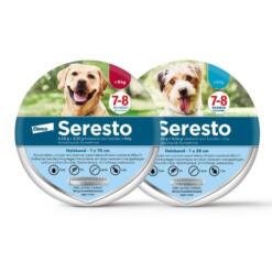 Seresto Hond