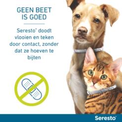 Seresto Hond