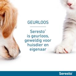 Seresto Hond