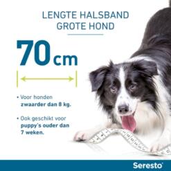 Seresto Hond