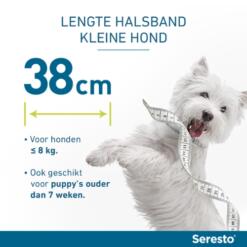 Seresto Hond