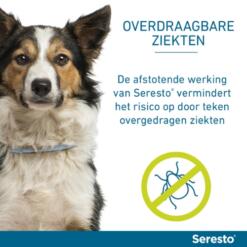 Seresto Hond