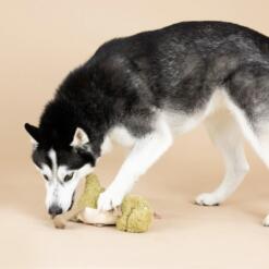 Small Arms, Big Heart Earth Friendly