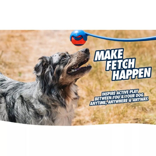 Chuckit Sport Ball Launcher 7 Sport Ball Launcher