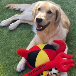 Belgie Drietand Beeztees Belgie supporters speelgoed voor de hond 5