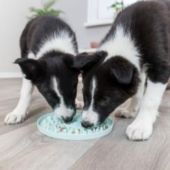 Junior Likplaat Trixie Likmat voor hond of kat 5